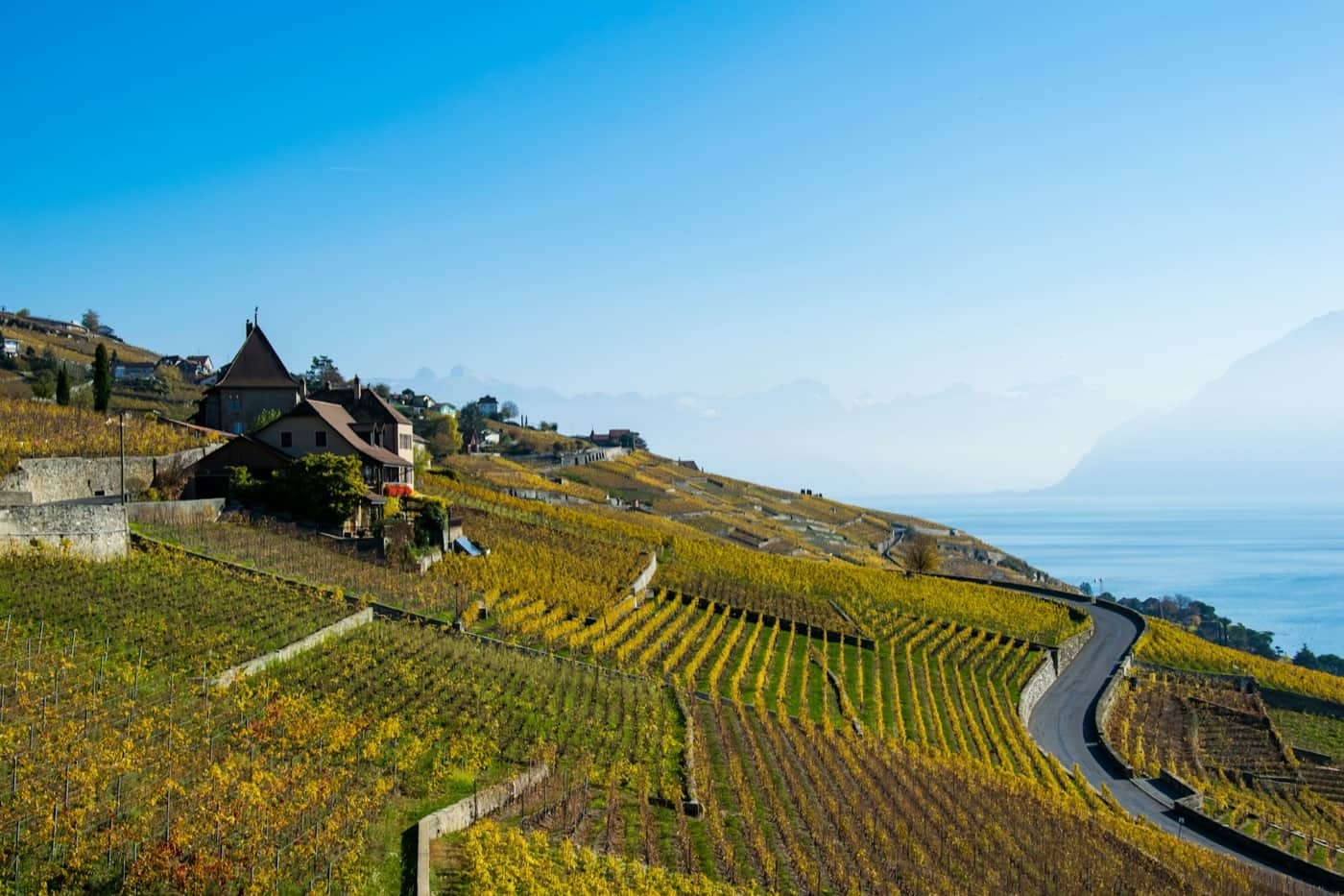 Les vignobles en terrasses du Lavaux au bord du Léman