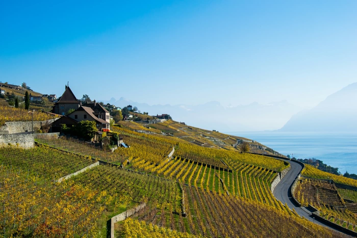 Lavaux · UNESCO vineyards · Lutry · Cully